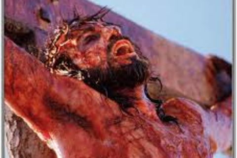 Thank you for the blood