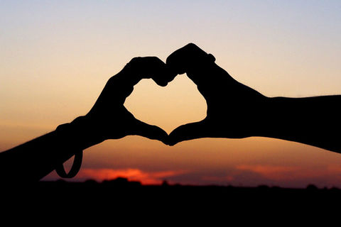 Love Is Life... Life Is Love