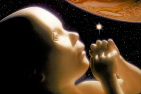 &quot; THE BLOOD, THE COCOON, THE UNIVERSE...&quot;