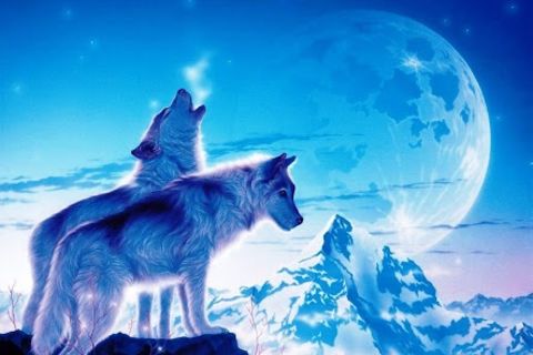One sky blue 