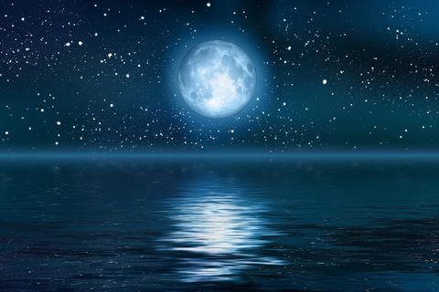 Night Moves