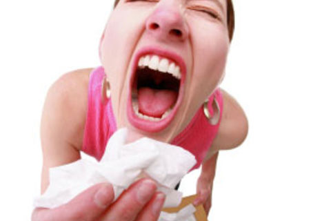 I Love To Sneeze