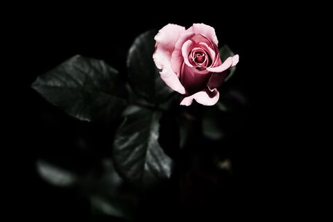Dark Emotion