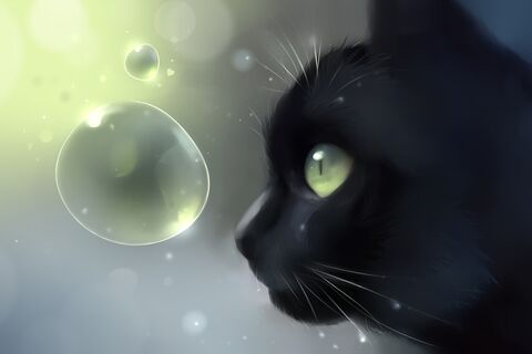 Your Whiskers