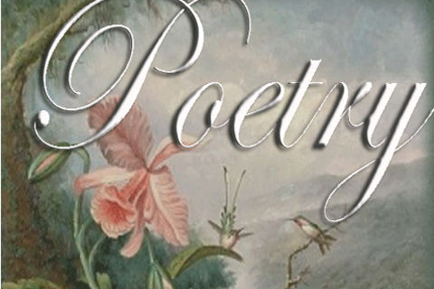 Poetry Is The Vehicle