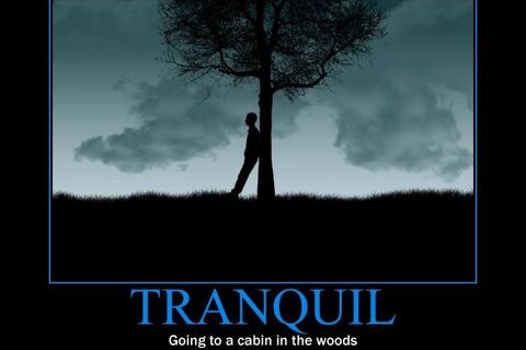 Tranquil