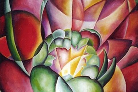 The Beautiful Lotus 