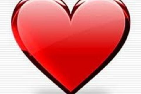 New Love