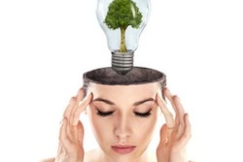 BRAIN TRAINING  - OUR AWAKENING