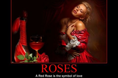 Roses