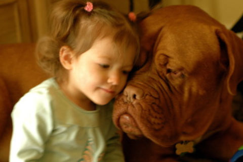 The Gentle Soft Side Of Love