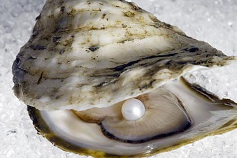 The World Is Our Oyster