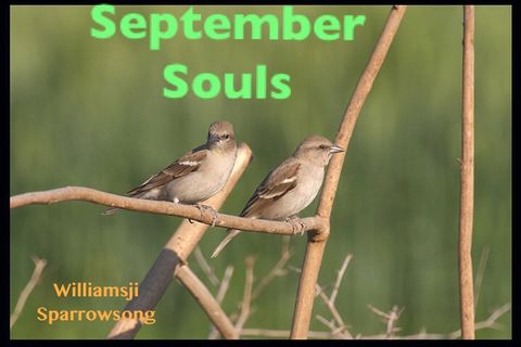 SEPTEMBER SOULS: DAY 3 WILLIAMSJI MAVELI CO-WRITES WITH SPARROWSONG, I SING FOR YOU..