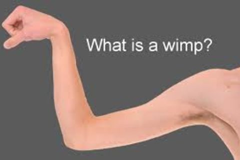 &quot; WHAT IS A WIMP !?&quot;X