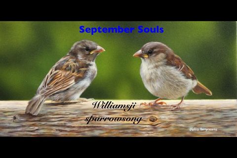 SEPTEMBER SOULS: DAY 4 SPARROWSONG CO-WRITES WITH WILLIAMSJI MAVELI ,WHEN I  TOUCH