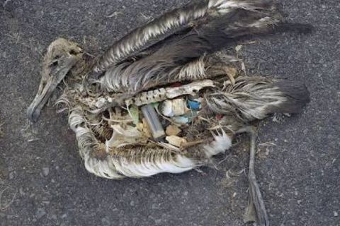When the earth is gone 