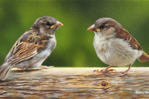 SEPTEMBER SOULS: DAY 8 WILLIAMSJI MAVELI CO-WRITES WITH SPARROWSONG, WHEN YOU ARE LONELY.......