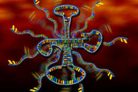 RNA World
