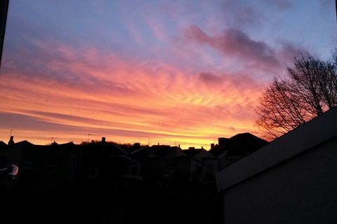 New Dawn