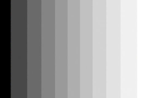 Gray Matter