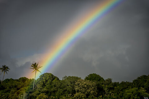 My Rainbow