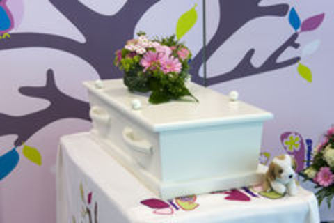 ANOTHER CHILD IS DEAD
