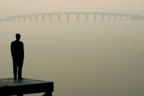 Looking into The Fog