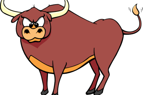 Bull