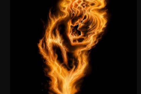 Body&#039;s Wild Fire 