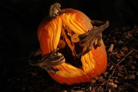 &quot; THE PETRIFYING PUMPKIN !?&quot;X