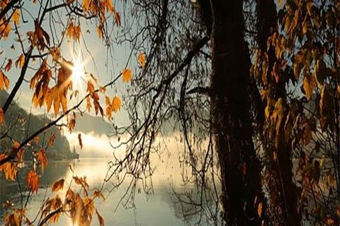 OCTOBER  LEAVES:DAY 20, WILLIAMSJI MAVELI WRITES, IN THE NAME OF THE LORD....