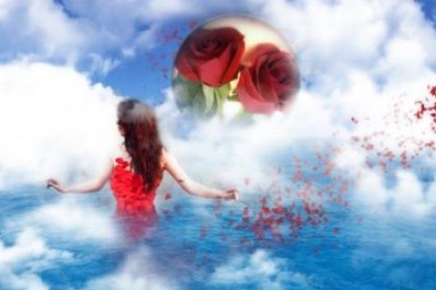 LOVE SPREADS ITS WINGS ACROSS THE SEA