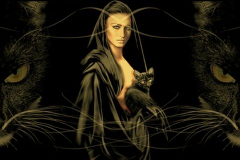 &quot; FERAL FELINE &quot;