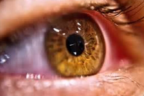 A Window To My Soul