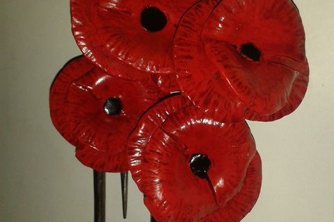 Poppy For A Soldier