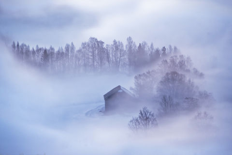 From Out Of The Mist