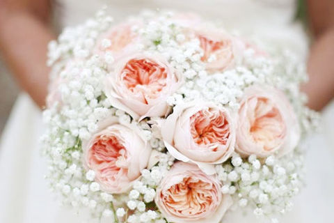 Gardenias And Ribbons