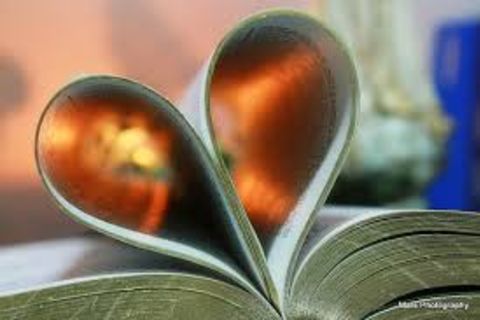 God&#039;s word