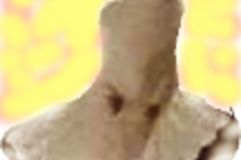 White Dove With No Wings