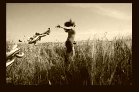 Freedom Is Distinction 