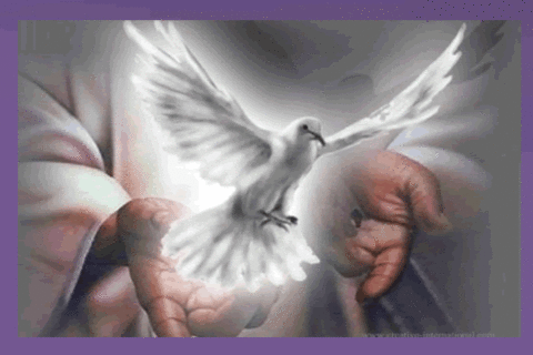 THE HOLY SPIRIT TEACHES
