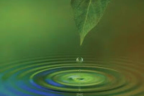 Pool of Emotion