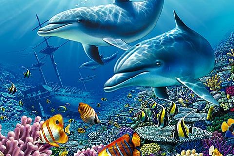 Deep blue ocean