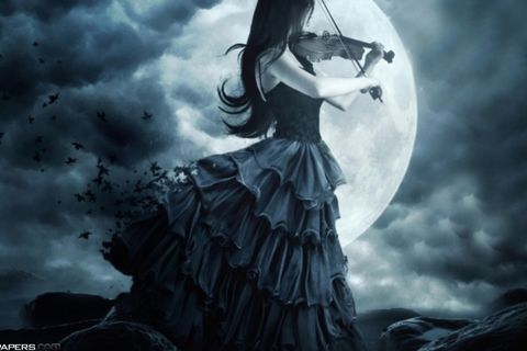 Love&#039;s violin 