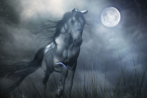 The Grey Ghost 