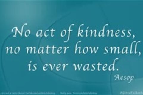 No harm(harmless kindness)