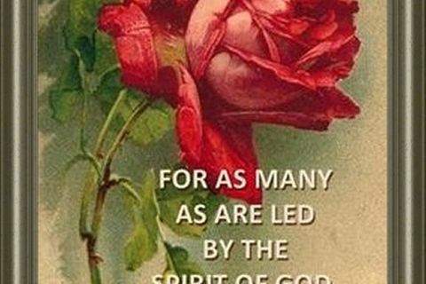 WORSHIP IS NOT LED BY MAN