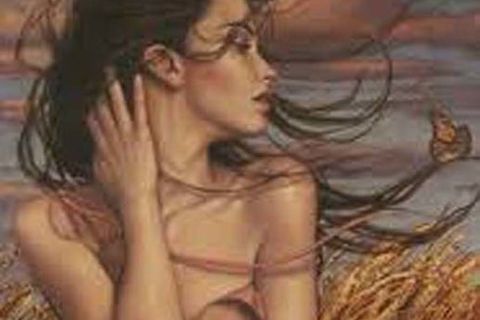 DECEMBER DEWS: DAY 29, WILLIAMSJI MAVELI WRITES, SEDUCE MY ESSENCE
