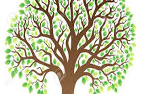 JANUARY CARNIVALS: DAY 5: WILLIAMSJI MAVELI WRITES, I AM A POETRY (POETREE)