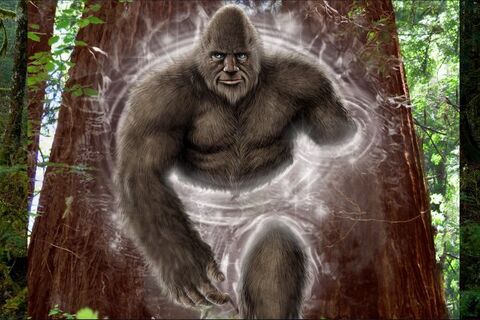 Sasquatch And the Third Dimension